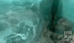 西藏冒险王家属最新爆料,生死之旅背后的惊心动魄